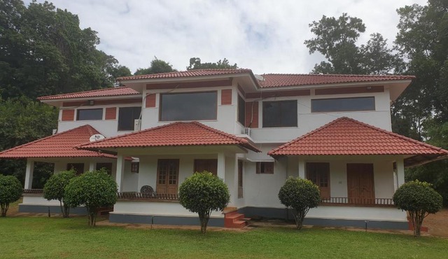 Tropical Blooms Coorg
