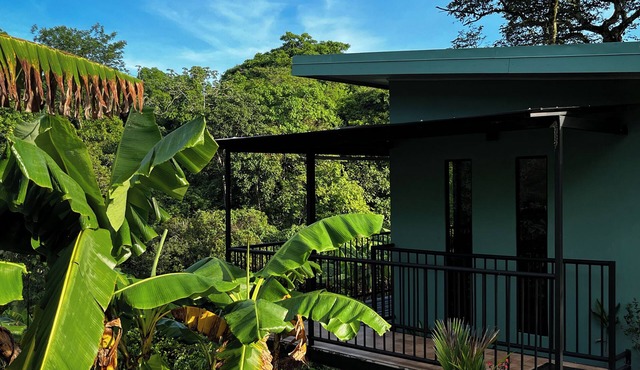 Tropical Forest Experience in Atenas