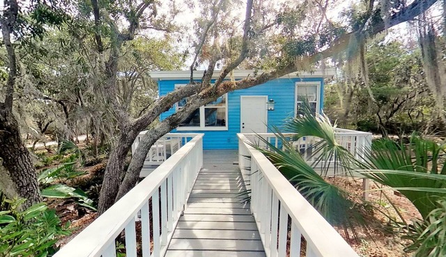 Tropical Island! Cedar Key Coastal Heaven Cottage Kayak to island beach! Hidden!