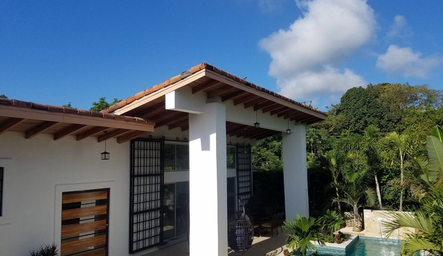 Tropical modern minimalist outdoor living paradise