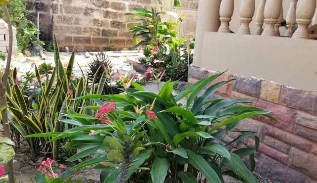 Tropical Nectar Apartment