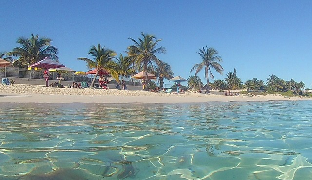 Tropical Oasis: Ocean View ~ Pool & Bar ~ Family-Friendly