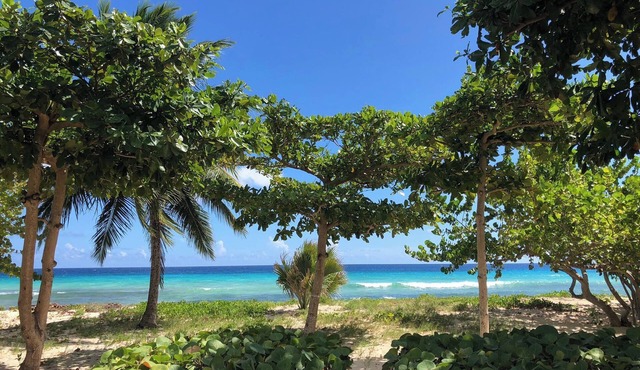 TROPICAL PARADISE ON THE BEACH