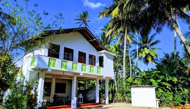 Tropical Point Inn