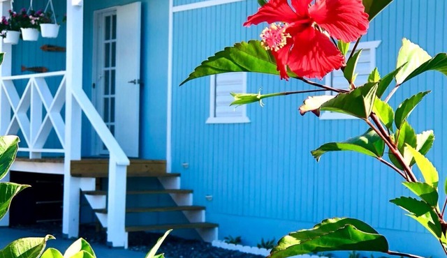 Tropical Private Beach Studio Apt #2 @ Jobos Beach