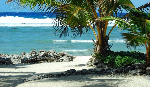 Tropical Sands