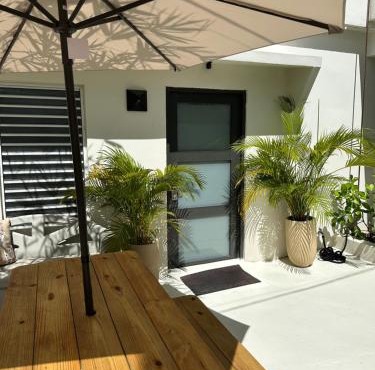 Tropical Studio