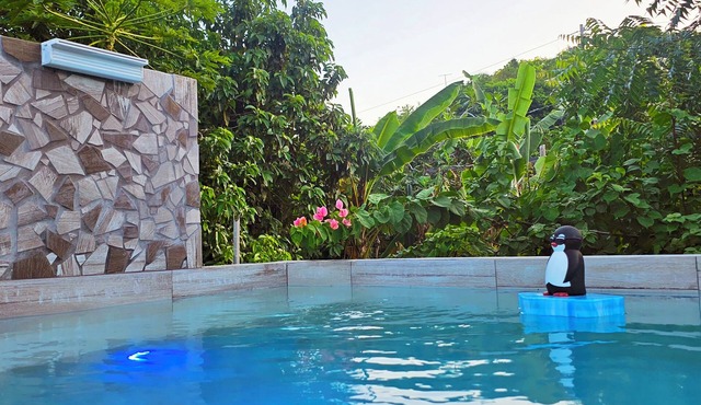 Tropical Studio with Private Pool & Balcony