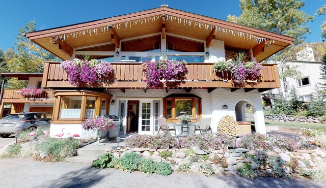 True Bavarian Chalet lower level private hot tub ! amazing Mt.Views