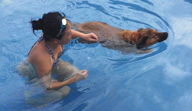 True Love Villa