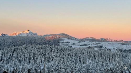 True Ski-In-Ski-Out Rare 3-Bed Condo