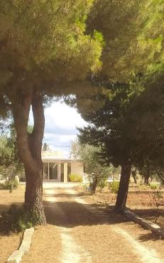 Trullo Contrada Specchi