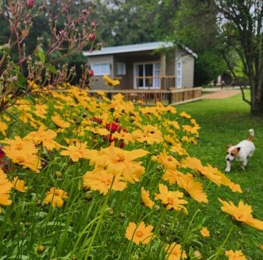 Tsitsikamma Garden Chalets