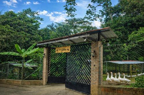 Tu Escapada Ideal con Río Privado