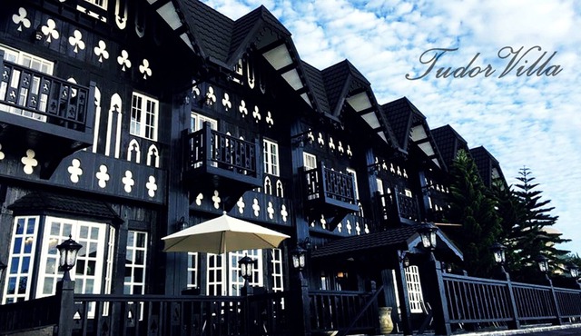 Tudor Dynasty