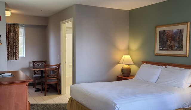 Tulip Inn