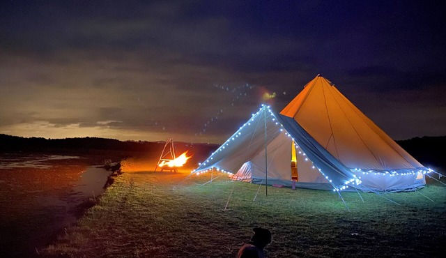 Tumbling Tom - Sleeps 4, Fire Pit & Pets Welcomed