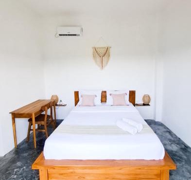 Turtle House Surf & Stay