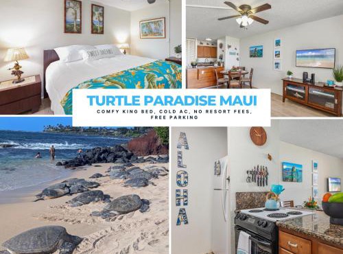 Turtle Paradise - King bed, AC, Across from Beach
