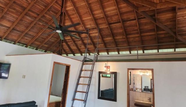 Turtle Suite