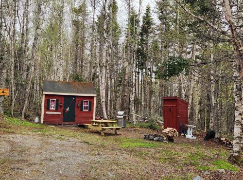 Twin Bucks Cabin