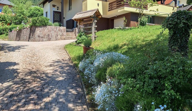 Two bedroom app in Preddvor with mountain view