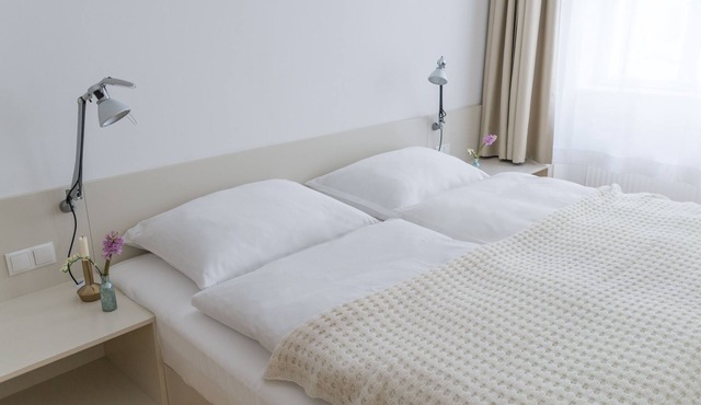 Two chic typical Viennese City apartments in the Karmeliterviertel