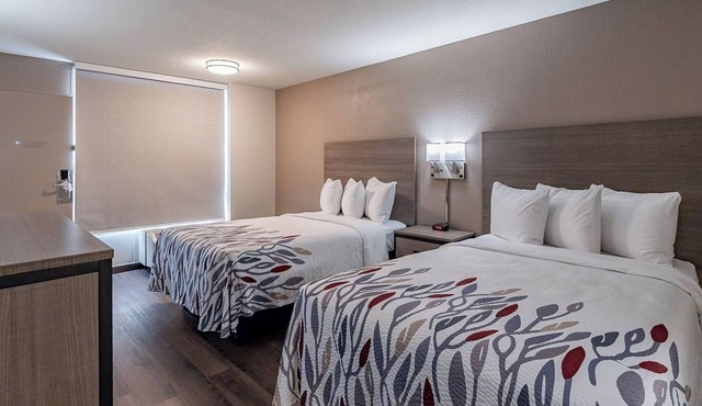 Two Deluxe Queen Room—Comfortable, Bright & Convenient Location