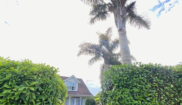 Two Palms Cambridge, peaceful and safe and pet friendly