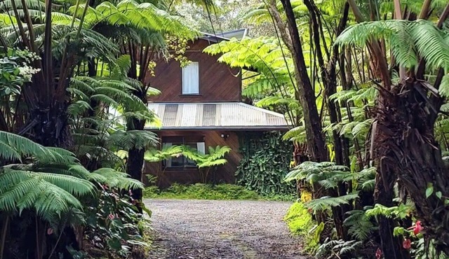 Two Peaceful cabins in marvelous Volcano for a relaxing stay.