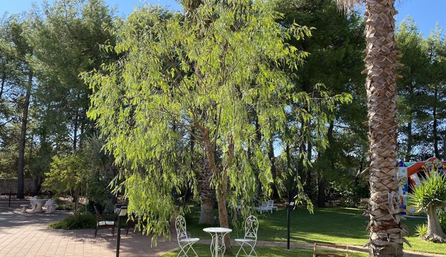Two-room apartment in elegant villa in the heart of salento