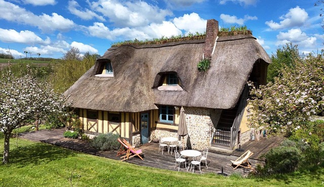 Typical cottage with fireplace and garden, pets allowed