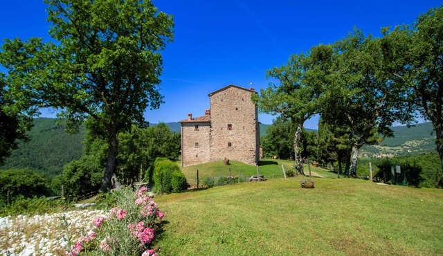 Typical and majestic Medieval Tower offering private pool and large garden. Panoramic position 3 km