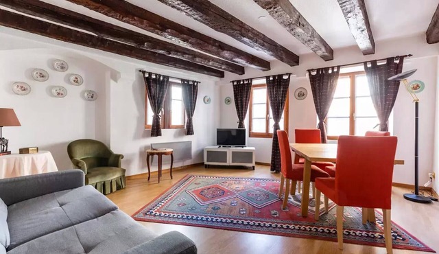 Typical apartment in the heart of Petite France