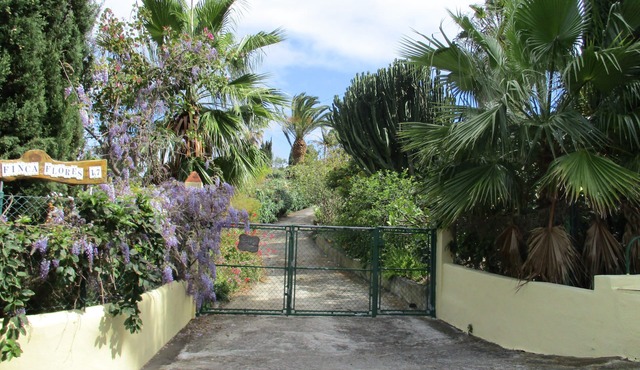 Typical Canary Cottage - Relaxation in the Botanical Garden
