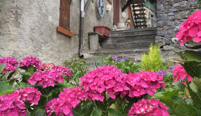 Typical Tuscany Village House, small private pool and relax