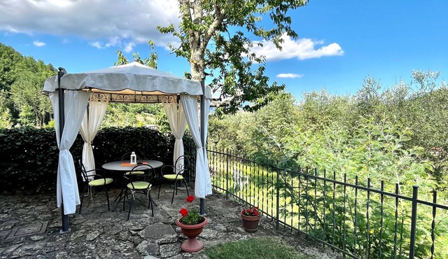 Typical Tuscan villa - nature immersion