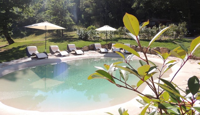 Typical Tuscan farm with swimming pool and air conditioning surrounded by nature