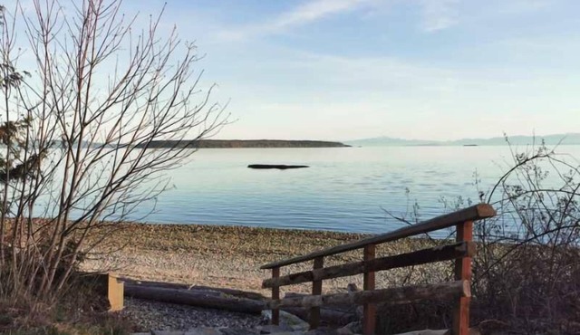 U1 Seaside Serenity: Seal Bay Glamping Retreat