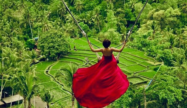 Ubud: Monkey Forest, Jungle Swing, Rice Terrace and Water Temple