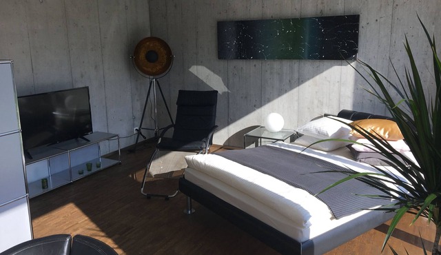 Uetikon am See - studio