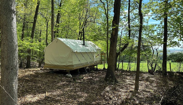 Ultimate Glamping