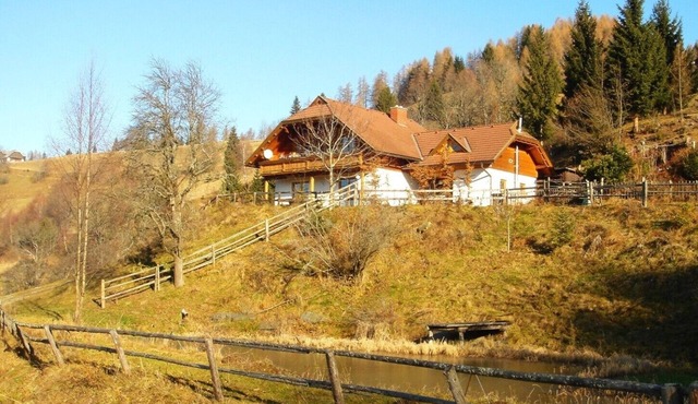 Ultimate Tranquillity at 1,100m - the Austrian Alm