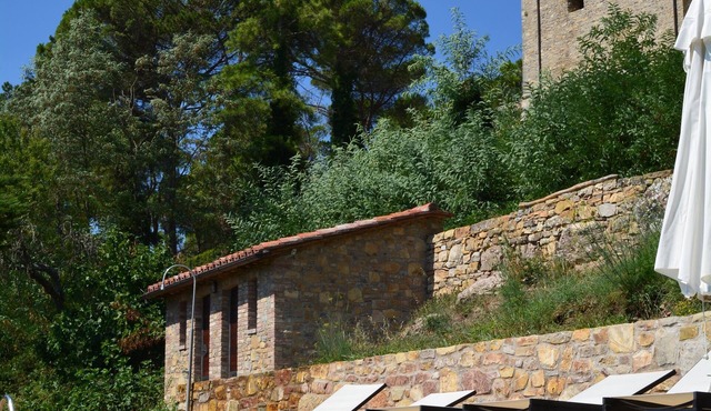 Umbria reconstructed olive mill in Castello Di Montegiove, Leccino