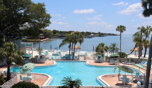 Uncover St. Pete's Gem | Steps Away from Art to Nature to Culinary Bliss