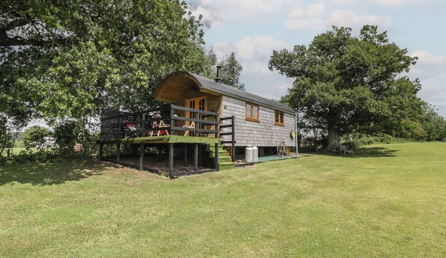 UNDER THE OAK TREE SHEPHERD'S HUT, pet friendly in Congresbury