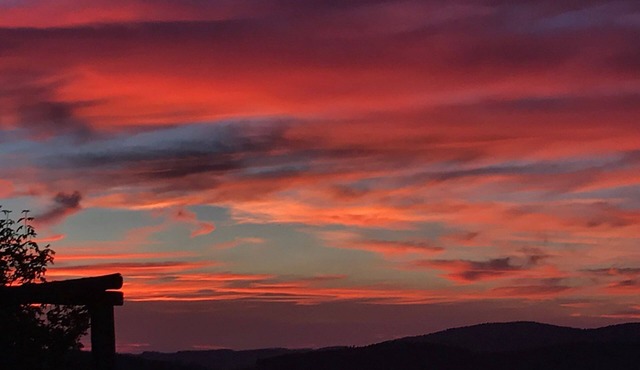 UNDER THE TUSCAN SUN