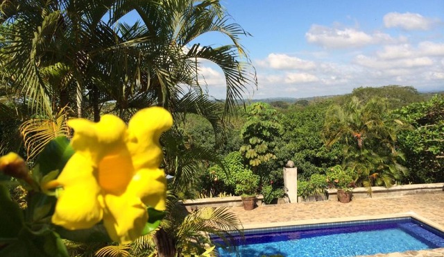 Unique 5 Architectural Homes, Pool & Wi-Fi
