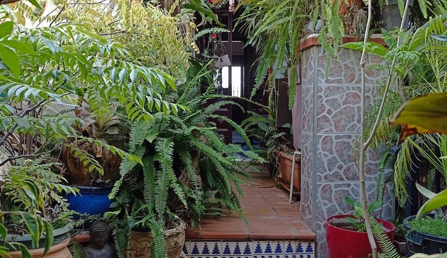 Unique Accommodation in a Lush Urban Jungle