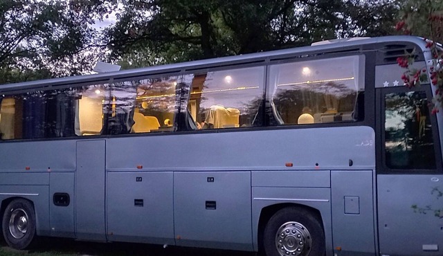 Unique and unusual: "Iliade" bus in a green and relaxing environment